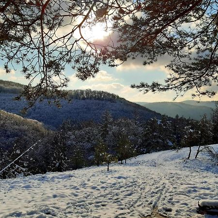 Ferienwohnung Westerwaldblick Grosszuegige Wohlfuehloase Mit Terrasse Oberelbert Εξωτερικό φωτογραφία