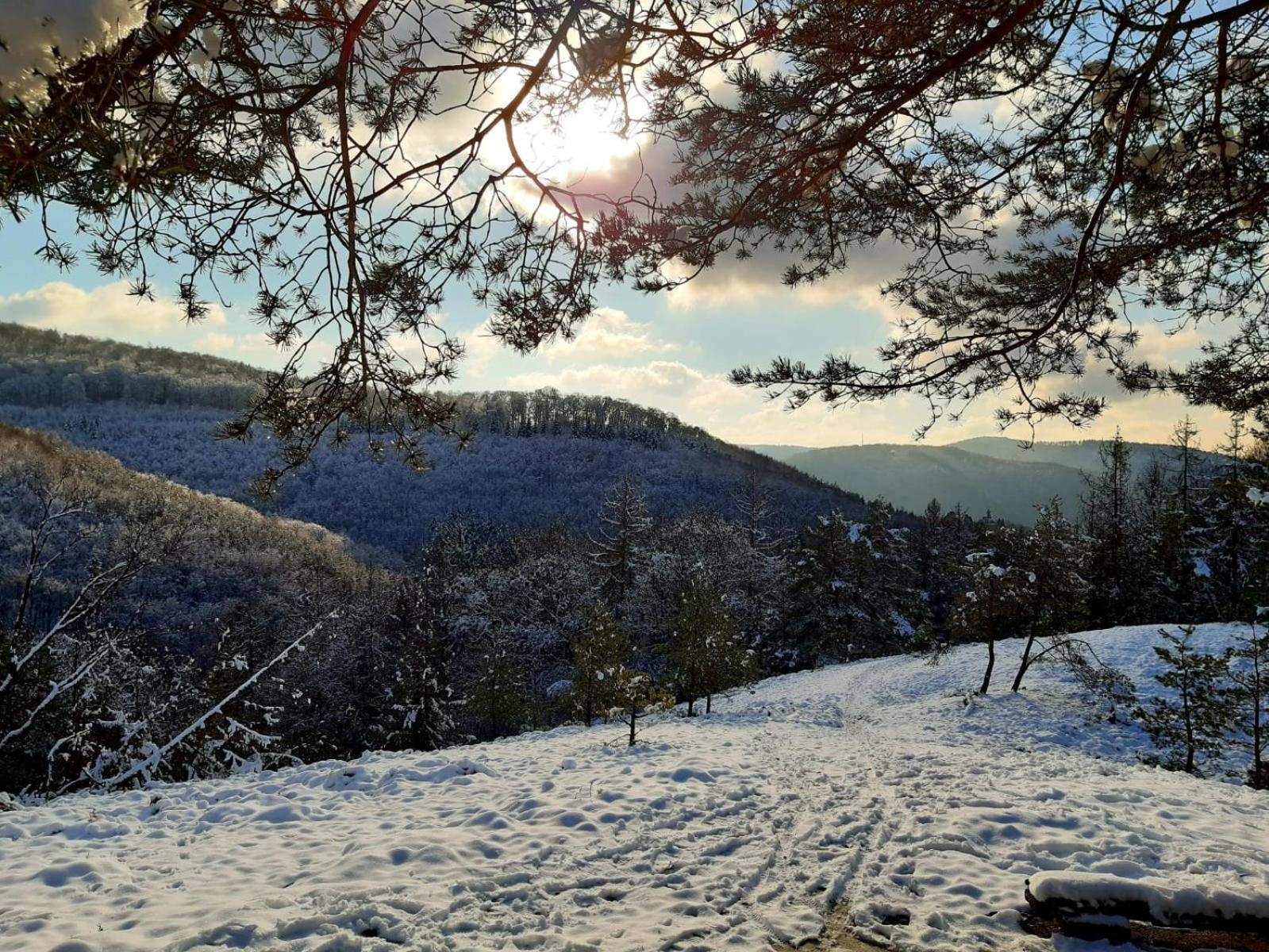 Ferienwohnung Westerwaldblick Grosszuegige Wohlfuehloase Mit Terrasse Oberelbert Εξωτερικό φωτογραφία